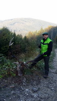 Hunting Red DEER in Romania