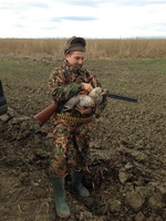 Hunting Geese in Romania