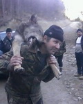 Hunting Wolf in Romania