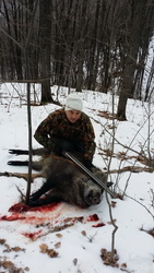 Hunting Wild Boar in Romania