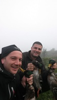 Hunting Ducks in Romania