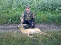 Hunting Roe Buck in Romania